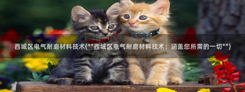 凯发平台网址