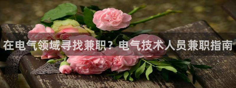 凯发k8娱乐官网旗舰厅：在电气领域寻找兼职？电气技