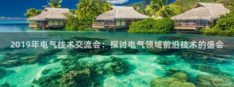 凯发k8娱乐官网手机端中心：2019年电气技术交流