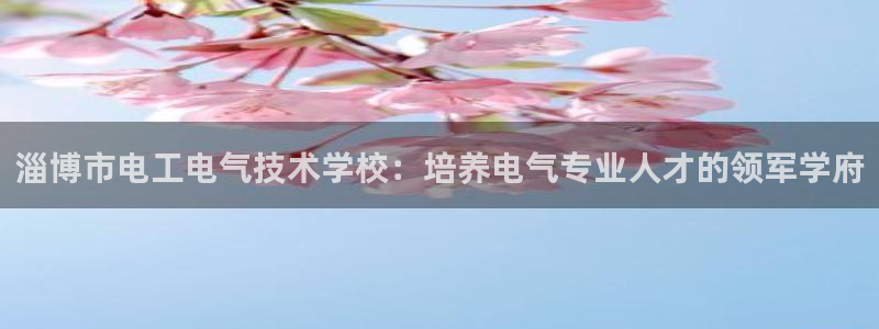 凯发k8娱乐网址多少：淄博市电工电气技术学校：培养