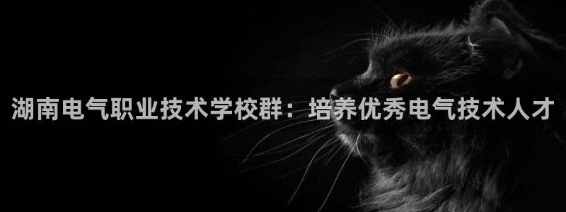 凯发k8娱乐品牌导航：湖南电气职业技术学校群：培养