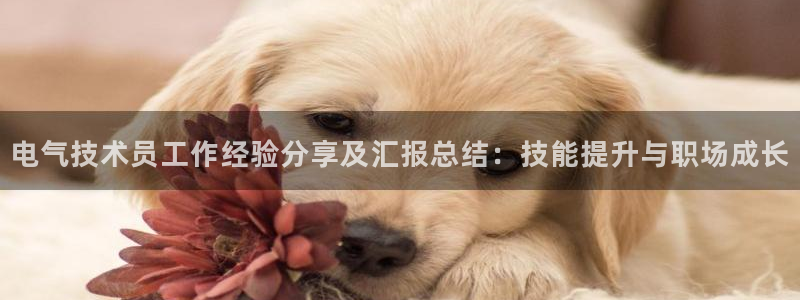 凯发官网登录地址陆地：电气技术员工作经验分享及汇报