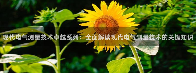 凯发k8国际app：现代电气测量技术卓越系列：全面