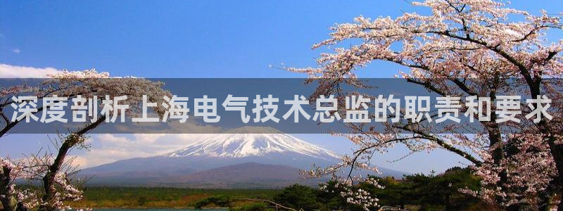 凯发国际k8官网登录：深度剖析上海电气技术总监的职